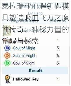 泰拉瑞亚血腥钥匙模具塑造吸血飞刀之魔性传奇:神秘力量的觉醒与探索