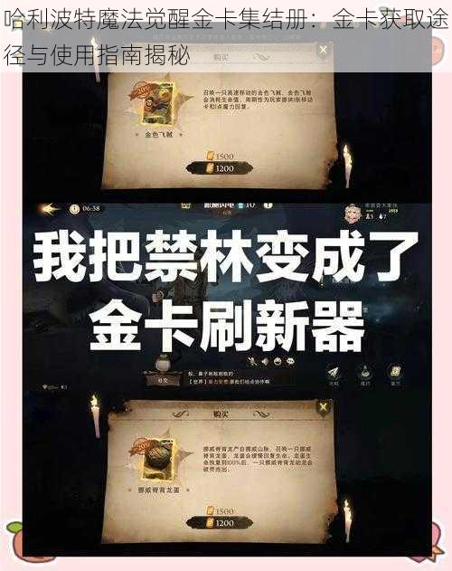 哈利波特魔法觉醒金卡集结册:金卡获取途径与使用指南揭秘