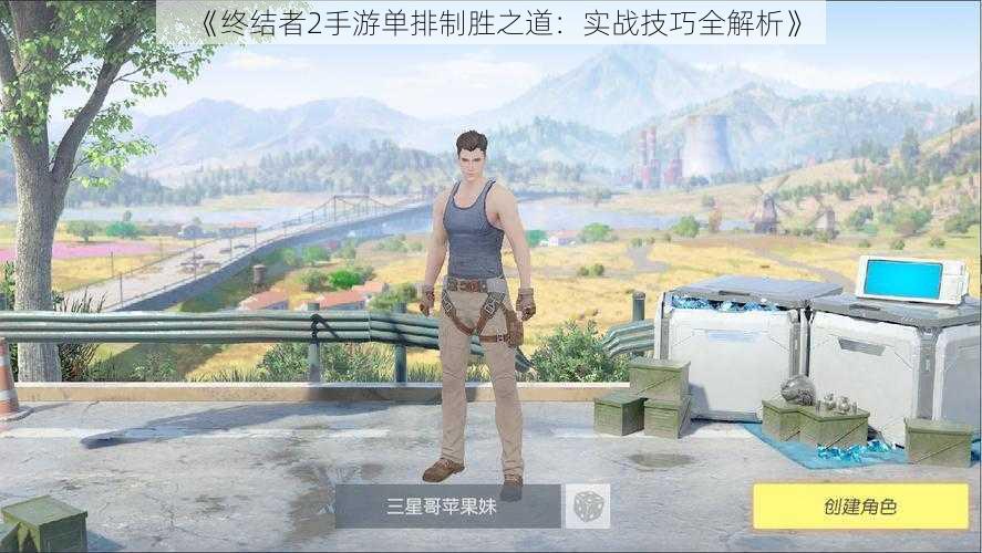 《终结者2手游单排制胜之道:实战技巧全解析》